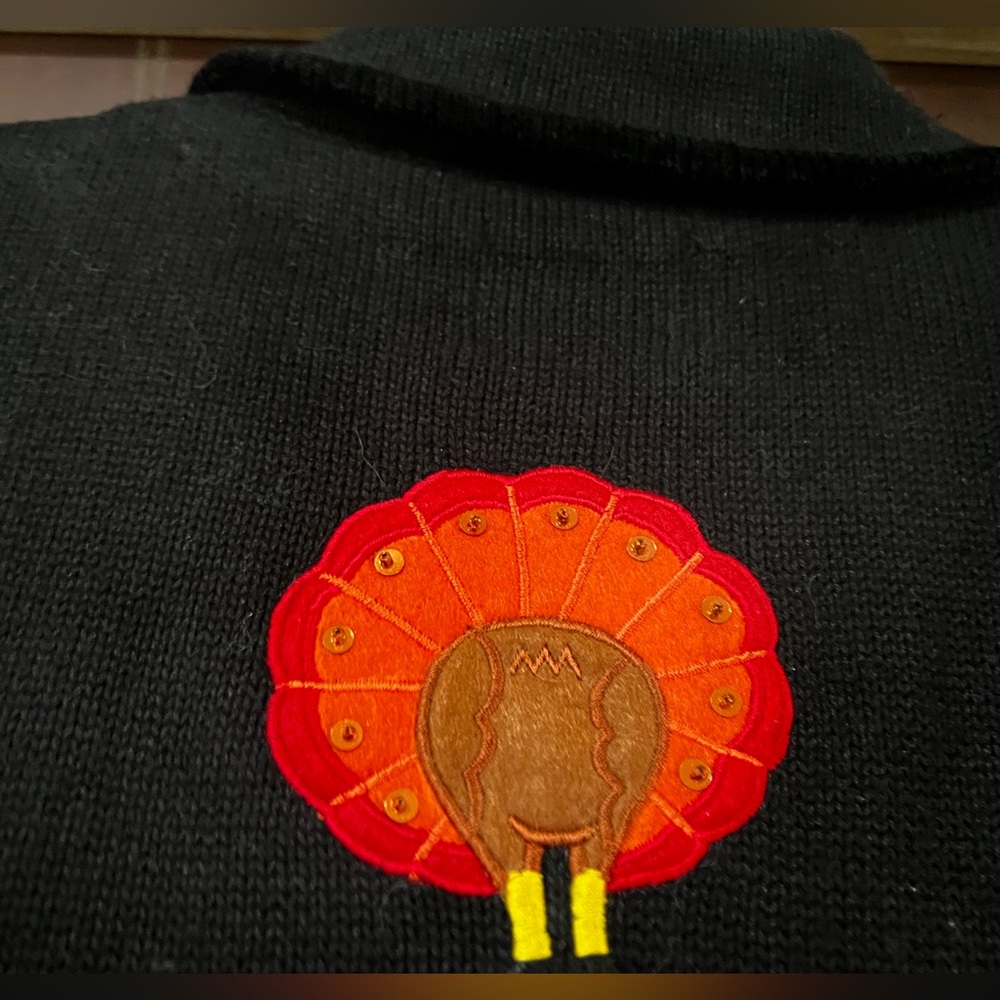 Quacker Factory Women’s Black Jacket with Colorful Embroidery for 🦃🧡🤎🖤💛 - Picture 9 of 10